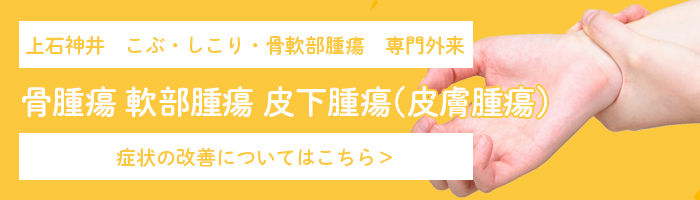 骨腫瘍 軟部腫瘍 皮下腫瘍(皮膚腫瘍)